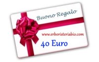 Gift 40 Euro